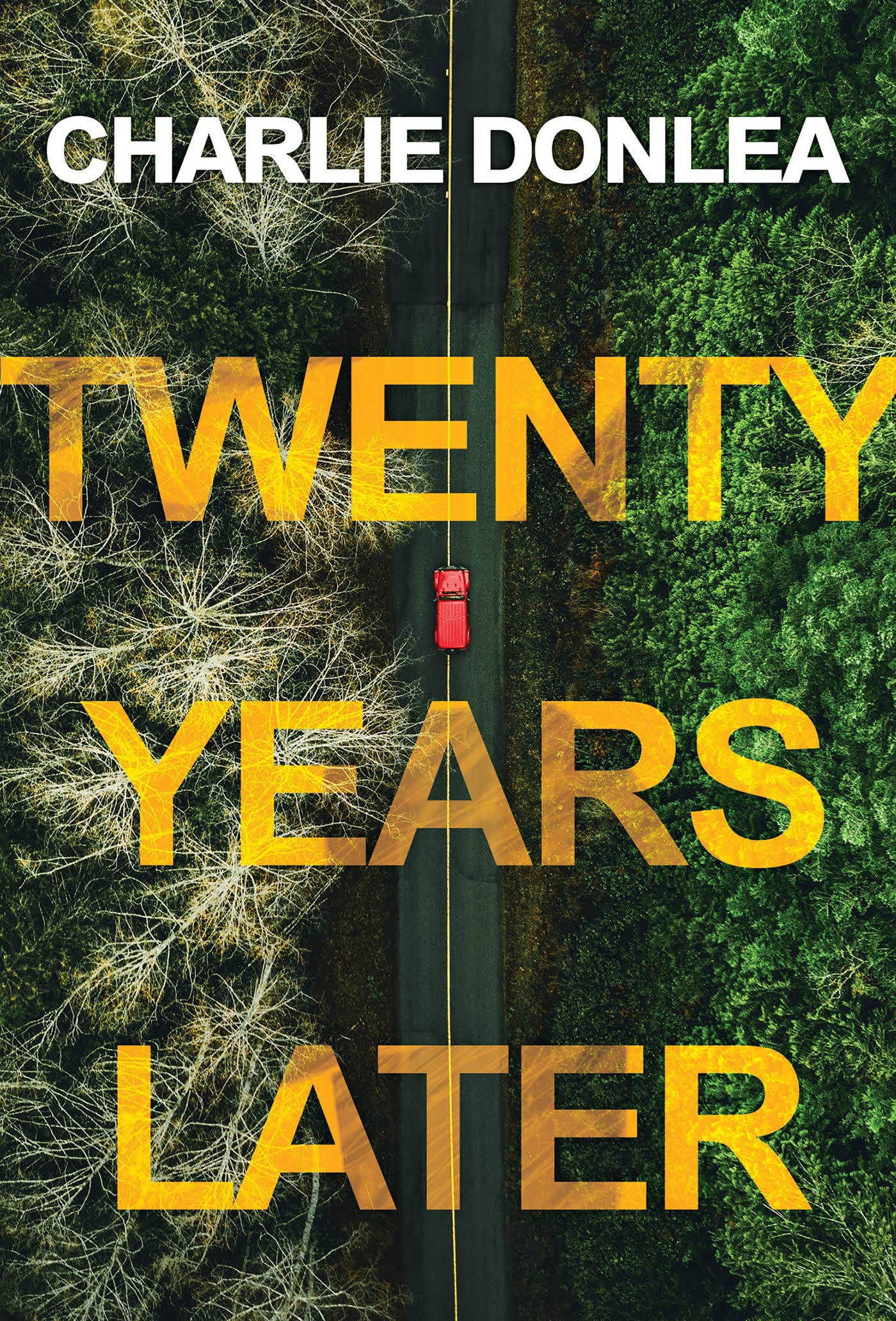 Twenty Years Later: A Riveting New Thriller book